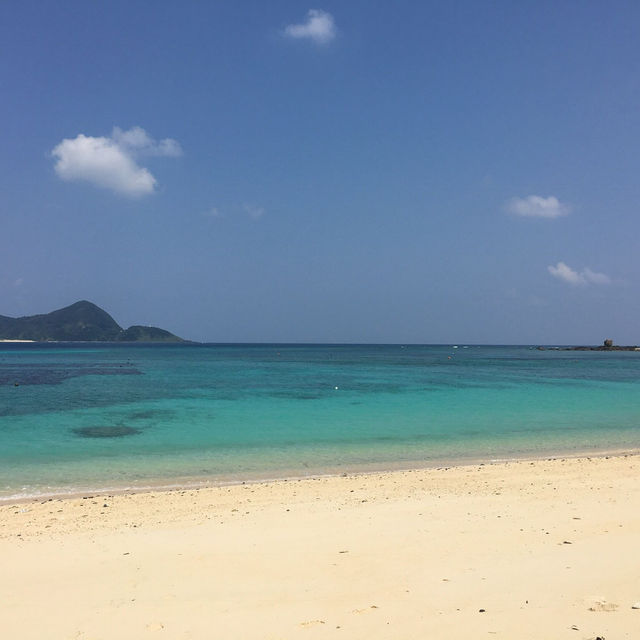 奄美大島のビーチ🏖️