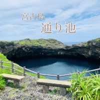 📍宮古島 通り池