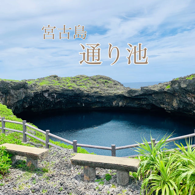 📍宮古島 通り池
