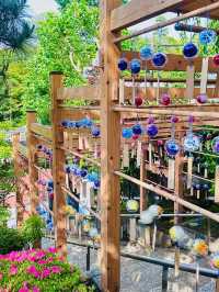 【紫陽花に変化‼️花手水で有名の法輪寺】