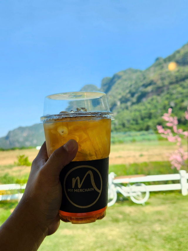 🍩🍪 คาเฟ่บรรยากาศดีๆ ที่ MY MERCHAIN