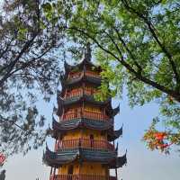 來去有歷史文化傳說之美的金山寺