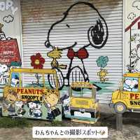 【📍淡路島】✨無料🆓かわいすぎるスヌーピーの壁🎨🐶