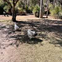 Meelup Farmhouse Perth
