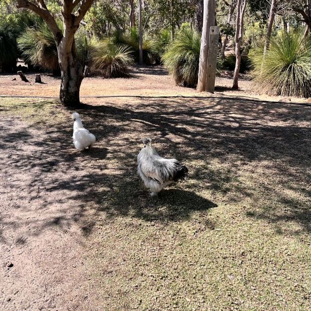 Meelup Farmhouse Perth
