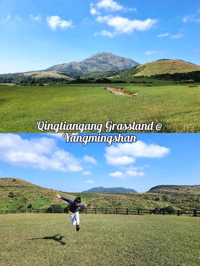 Qingtiangang Grassland @ Yangmingshan