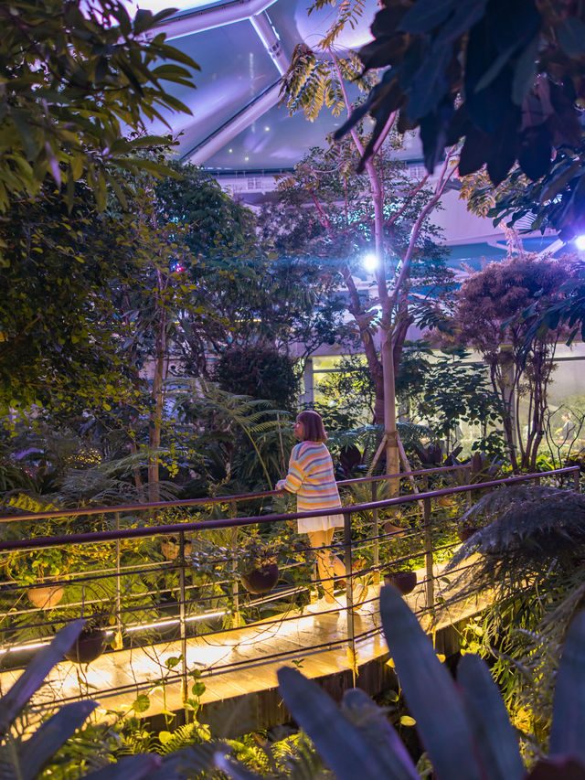 Bucheon Lake Botanic Park สวนพฤกศาสตร์ฟีลอวกาศ