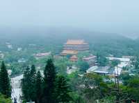 【2024春】昂坪寶蓮寺：仙境般幽雅，許願樹祈福
