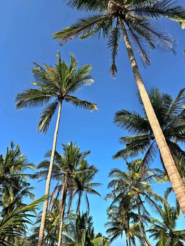 🏖 เกาะเต่า สวรรค์ของการพักผ่อน