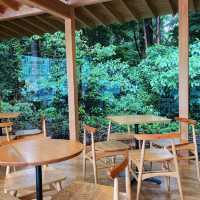 A Chill Cafe Nestled in Shibuya