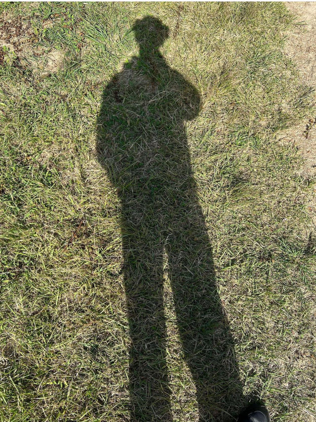 마음의 안정을 찾아주는 이국적인 공원, 용산 가족 공원🌳