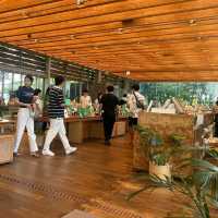 Natural Oasis: Innisfree Jeju House