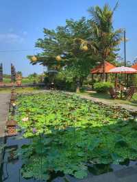 🇮🇩A Must-Visit Balinese Restaurant🇮🇩SAVE THIS💜