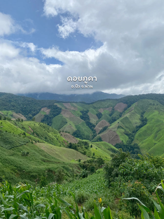 19 พิกัดเที่ยวน่าน | ฤดูฝน ⛰️🌧️🌾🌳