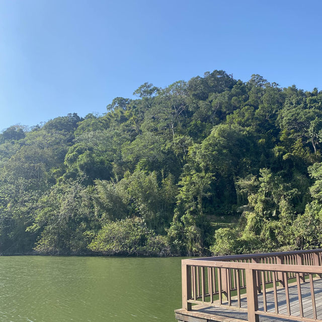 桃園 三坑自然生態公園 🏞️
