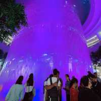 Fast and good Japanese food at Jewel Changi