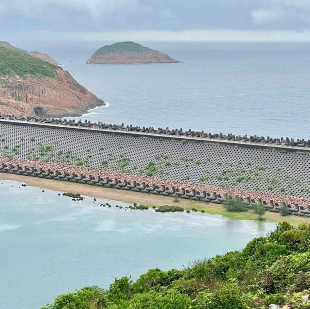 A Must-Visit Hidden Gem in Hong Kong😃