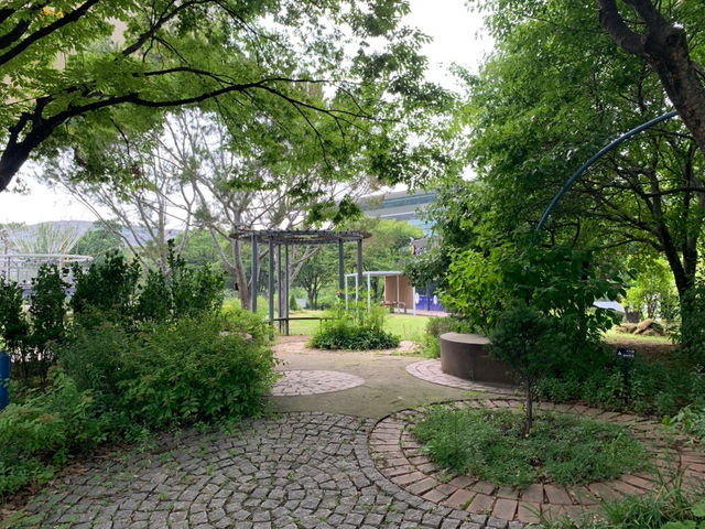  "도시 속 자연의 품격, 여의도공원"🌳