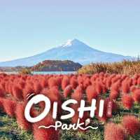 Oishi Park 