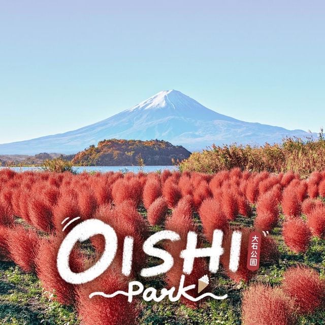 Oishi Park 