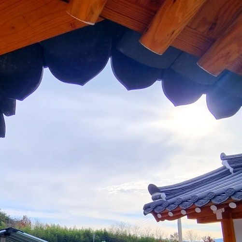 🇰🇷 경주에서 촌캉스하기 좋은 숙소
