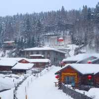 Snowtown Harbin