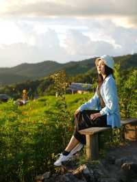 ป่าบงเปียง - นาขั้นบันไดวิว 360 องศา