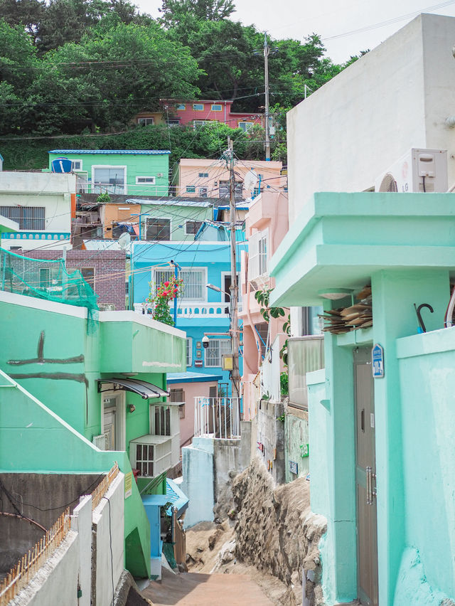 【釜山】可愛すぎるスポット🇰🇷甘川文化村