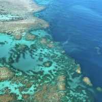 Chopper ride reef magic