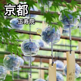 【京都】說到風鈴就想到「正壽院」
