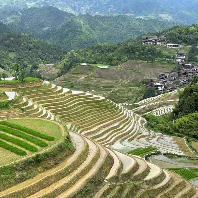 龍脊梯田週末遊