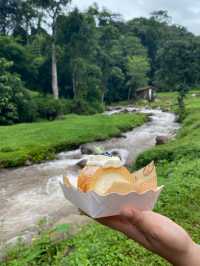 หลงเขาคาเฟ่ | น่าน ⛰️🌦️🌳🍰