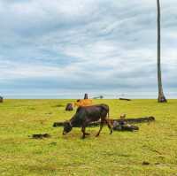 🇲🇾 Pantai Mangkuk in Monsoon: A Coastal Symphony Under Cloudy Skies