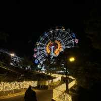 夜遊東山動物園，專屬夜晚的野性與浪漫