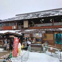 岐阜景點｜世界文化遺產—走進童話世界—白川鄉合掌村