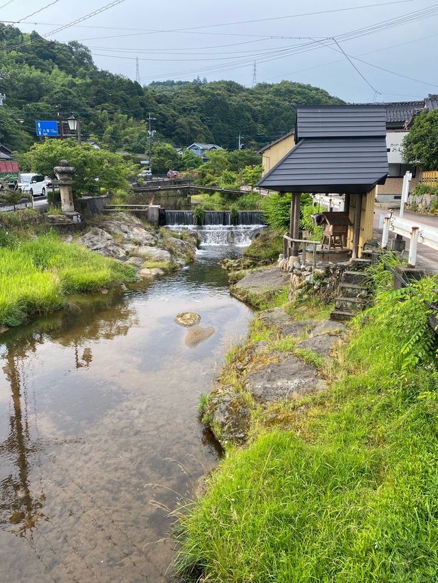 【島根】鯉！湯閼伽の井戸