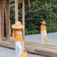 คาเฟ่เกาะเสม็ด