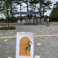 涙の女王ロケ地　水原　日月樹木園