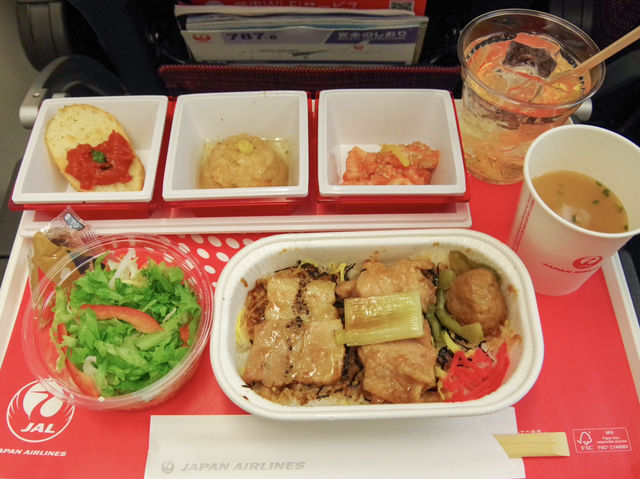 【JL】成田→サンフランシスコ エコノミークラス✈️