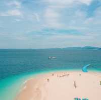 เกาะแมว สวรรค์ของเหล่าทาส! 🐈🏝