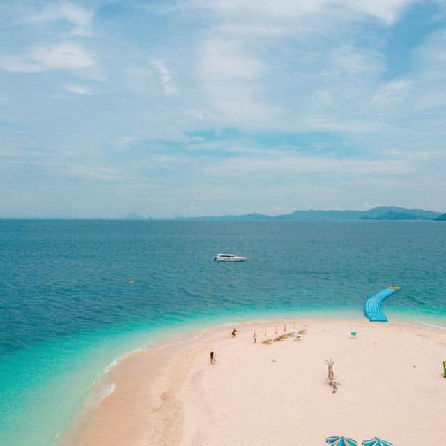 เกาะแมว สวรรค์ของเหล่าทาส! 🐈🏝