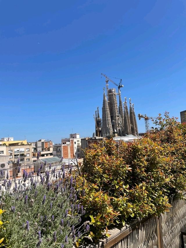 🇪🇸Radisson Blu 1882 Hotel