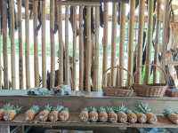 NICTAR PINEAPPLE PARK
