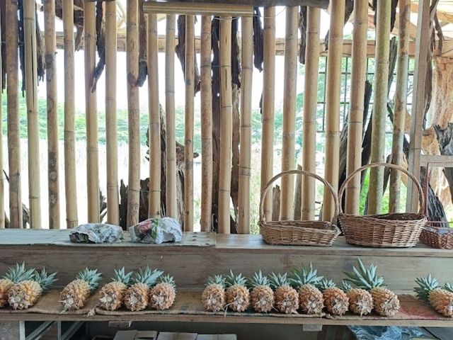 NICTAR PINEAPPLE PARK