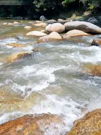 A WEEKEND BY THE RIVER, FOREST SANCTUARY