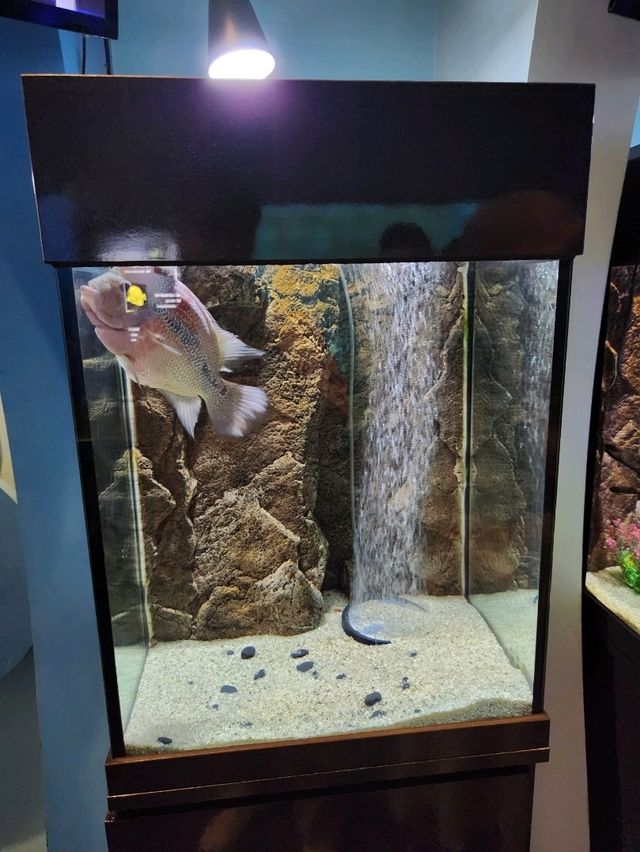 3D체험이 가능한 가을여행지 장생포생태체험관👍