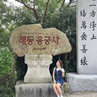 바다가 보이는 사찰 부산 해동용궁사 무료 입장가능한 관광지