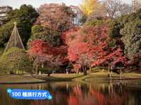 小石川後樂園🍁日式古香庭院