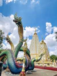📍วัดพระธาตุหนองบัว อ.เมือง 