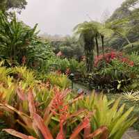 코스타리카 라 파즈 워터폴 가든스 자연공원 La Paz Waterfall Gardens Nature Park